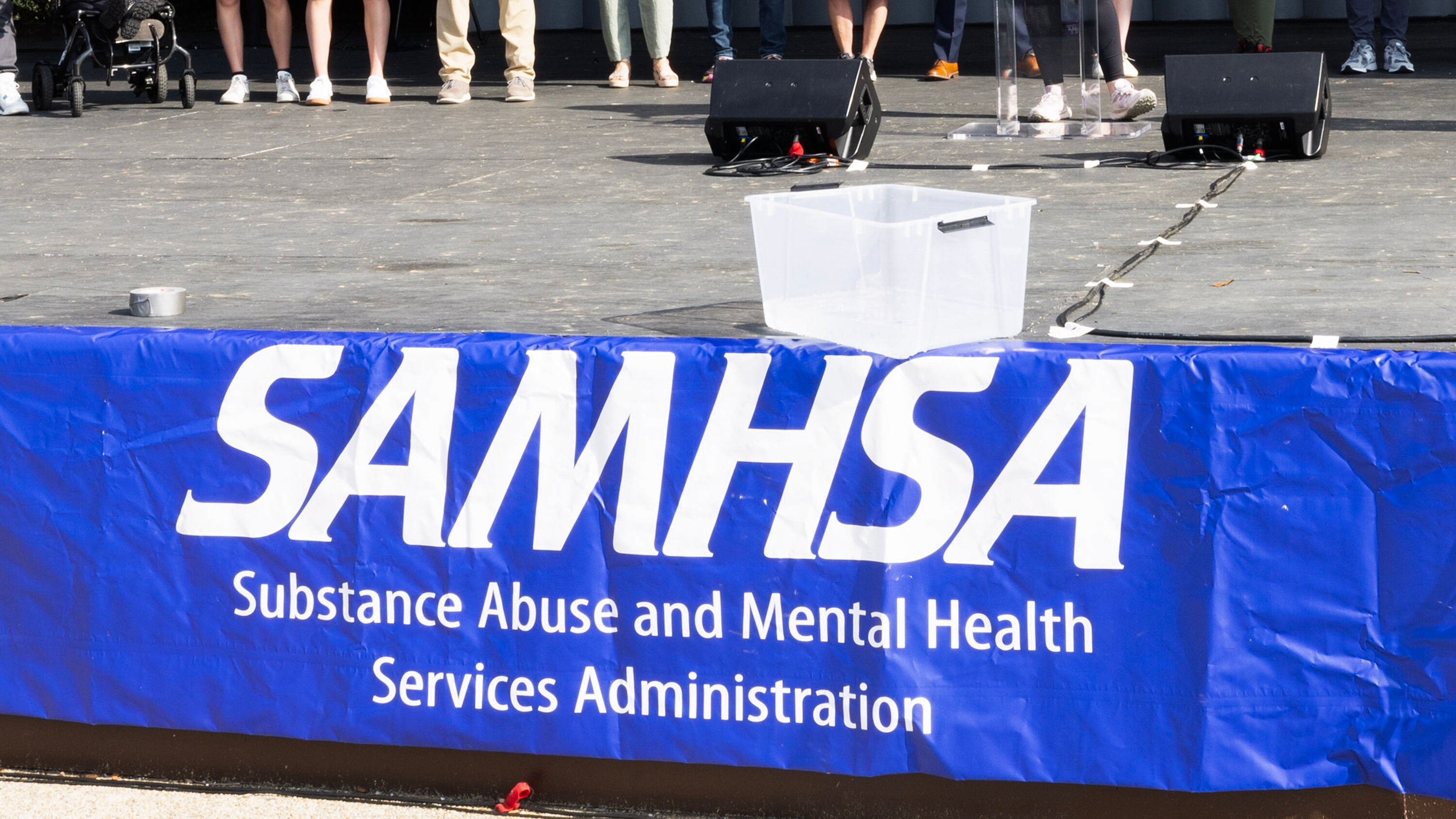 National Alliance on Mental Illness (NAMI)